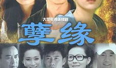 孽缘电影,爱恨交织的命运轮回