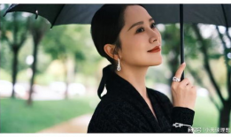 海清电影,光影交织，演绎人生百态