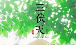 三伏天,盛夏酷暑的养生攻略与避暑秘籍