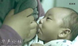 哺乳电影,揭秘哺乳动物进化与生存的奥秘