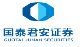 国泰君安,深度解析金融市场的未来趋势与投资策略