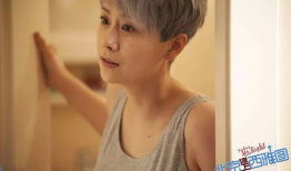海清电影,光影交织，演绎人生百态