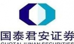 国泰君安,深度解析金融市场的未来趋势与投资策略